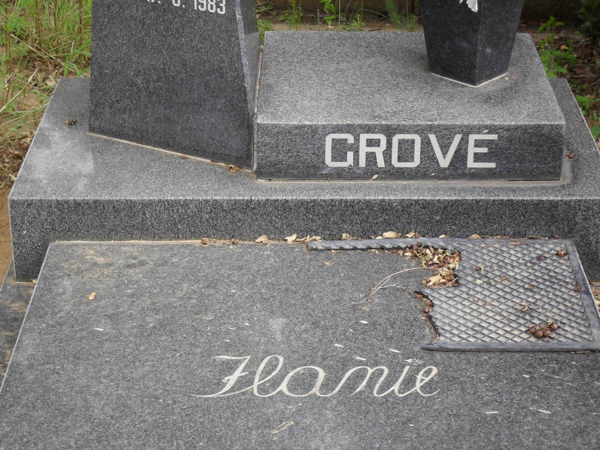 GROVé Flanie 1983