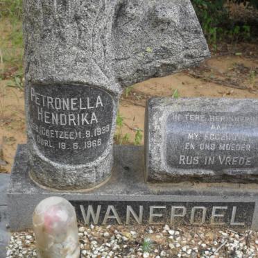 SWANEPOEL Petonella Hendrika nee COETZEE 1939-1966