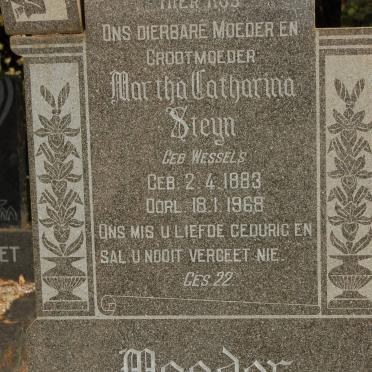 STEYN