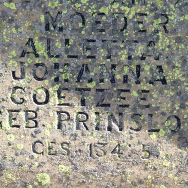 GREYLING Hester Petronella nee WALSTRAND 1935-1914 :: COETZEE Alletta Johanna nee PRINSLOO