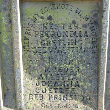 GREYLING Hester Petronella nee WALSTRAND 1935-1914 :: COETZEE Alletta Johanna nee PRINSLOO