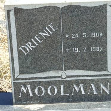MOOLMAN Drienie 1908-1987