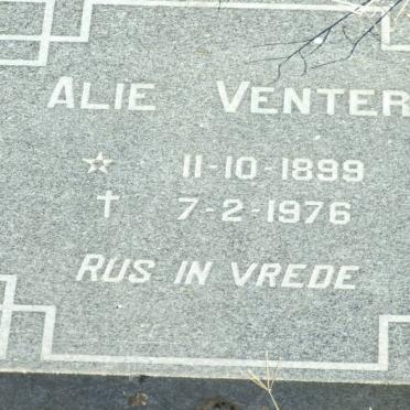 VENTER Alie 1899-1976