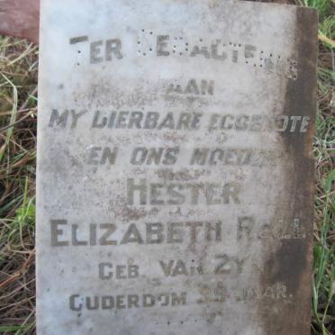 Free State, PARYS district, Nugget 406, farm cemetery_2