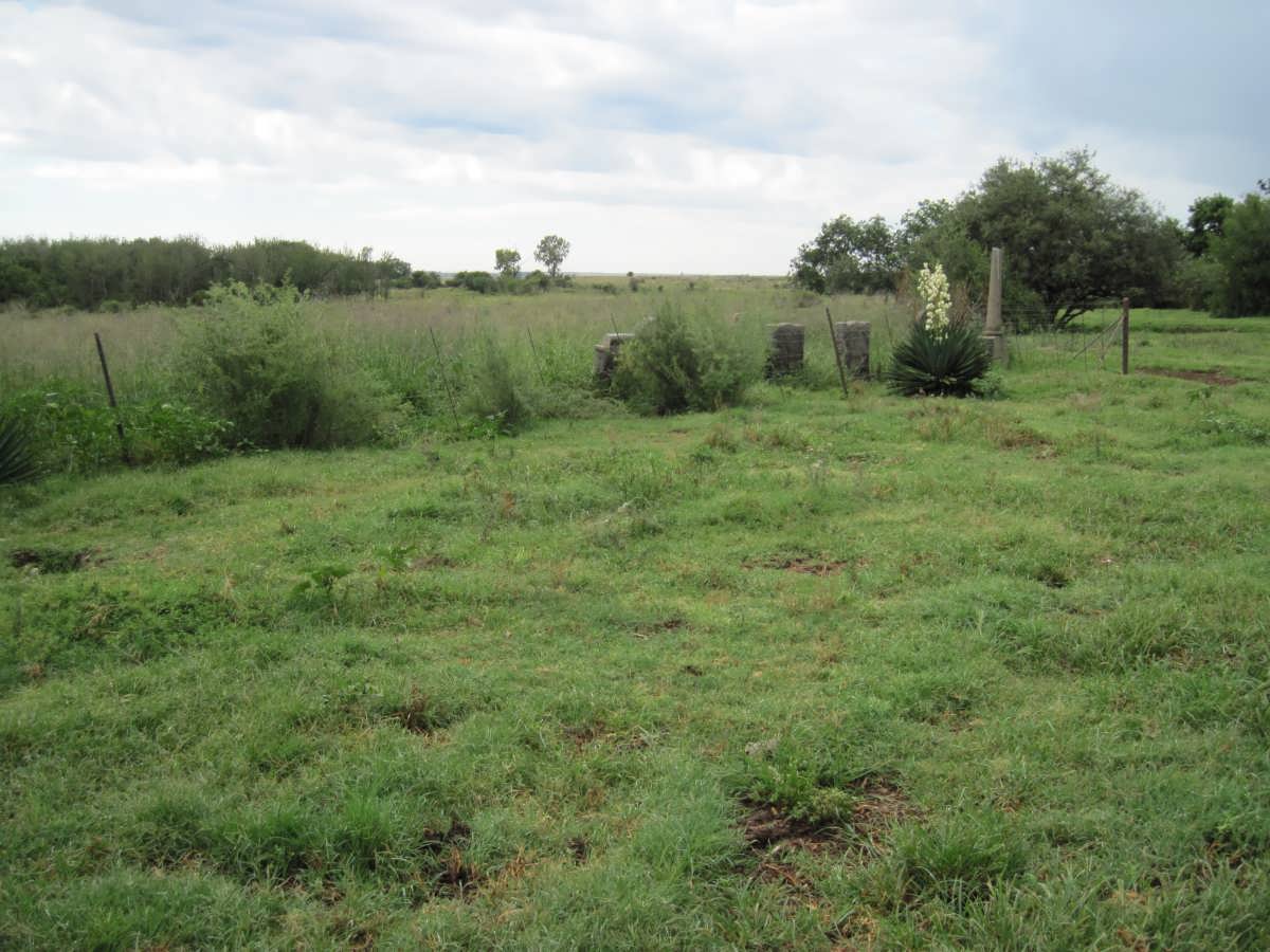 1. Overview on farm cemetery