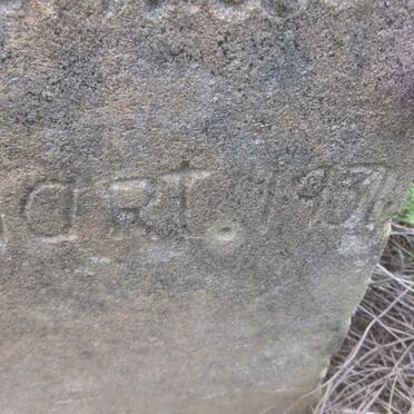 STEENBERG J.J. 1850-1934