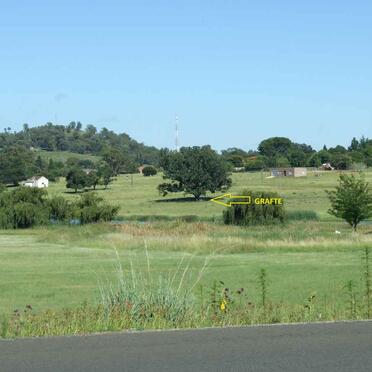 Free State, PETRUS STEYN, Grave of Petrus Steyn