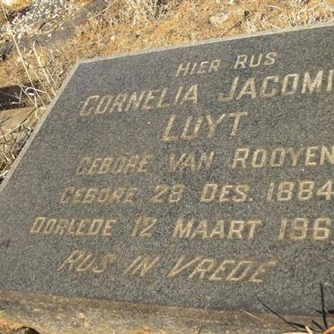 LUYT Cornelia Jacomina néé VAN ROOYEN 1884-1962