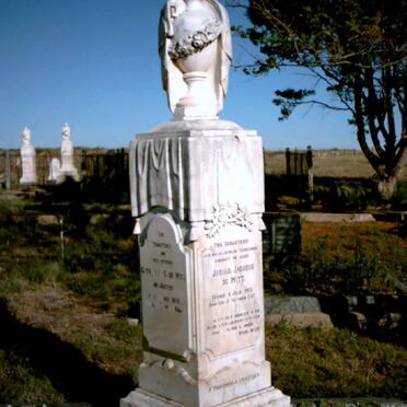 WITT Josias Jacobus, de 1862-1956 &amp; Catharina C. COETZER 1870-1940