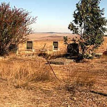 1. Overview