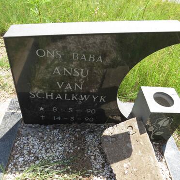 SCHALKWYK Ansu, van 1990-1990