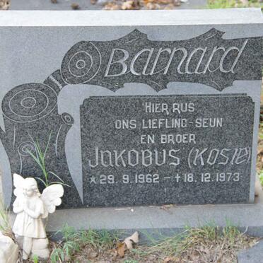 MEISSENHEIMER J.H. 1907-1945