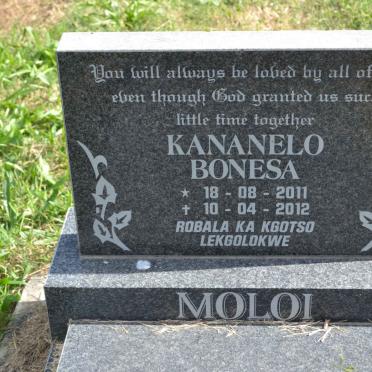 MOLOI Kananelo Bonesa 2011-2012