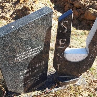 SESI Elizabeth 1965-2018