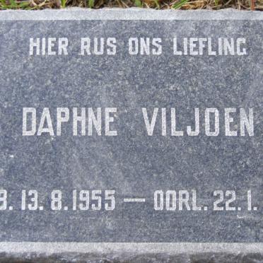 VILJOEN Daphne 1955-1956