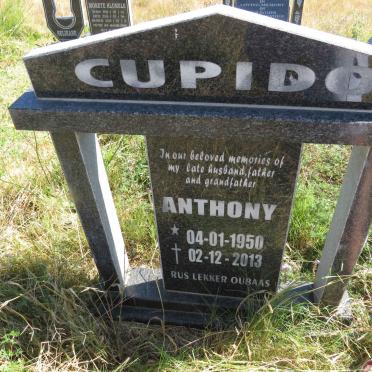 CUPIDO Anthony 1950-2013