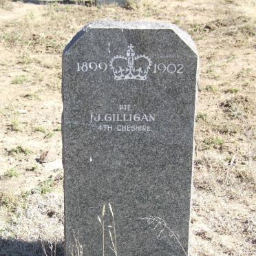 GILLIGAN J.