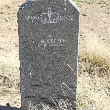 MOSEDALE J.