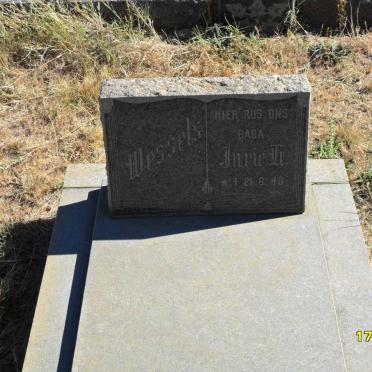 WESSELS Jurie H. 1948-1948