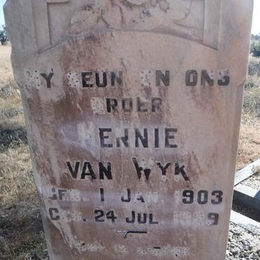 WYK Hennie, van 1903-1929