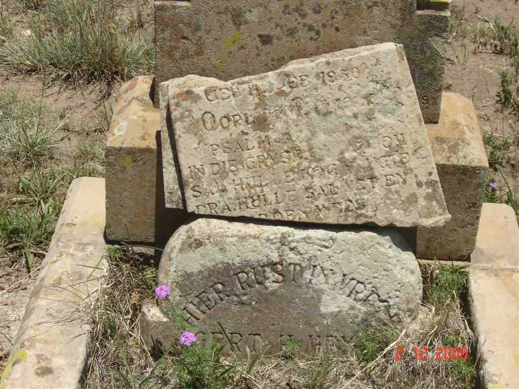 MEYER Gert H. 1856-