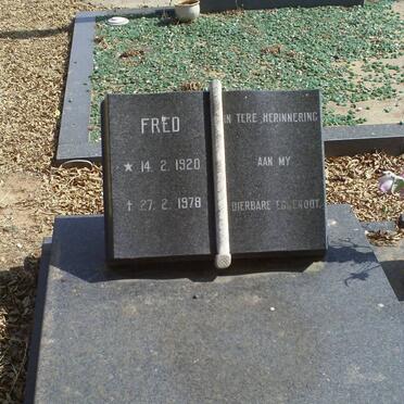 GROBBELAAR Fred 1920-1978