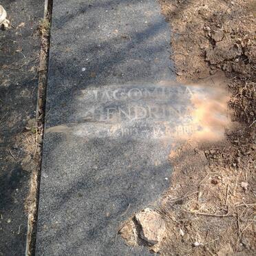 STEENKAMP Jacomina Hendrina 1913-1988