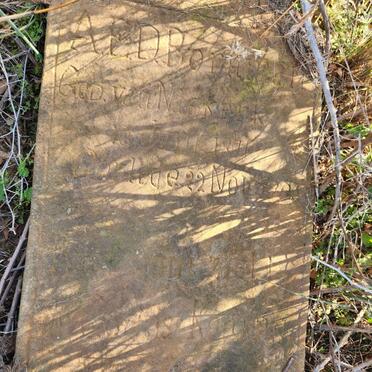 BORNMAN A.E.D. nee VAN NIEKERK 1871-1906