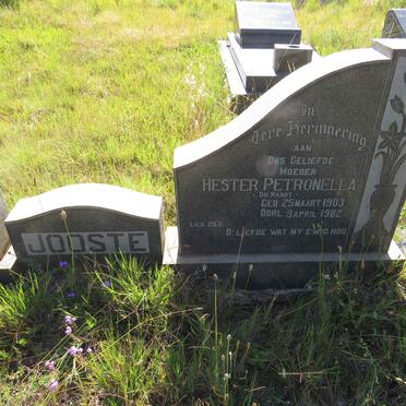 JOOSTE Frans Jacobus 1897-1965 & Hester Petronella DU RANDT 1903-1982 _2