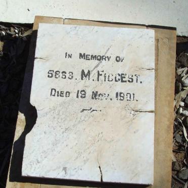 FIGGEST M. -1901
