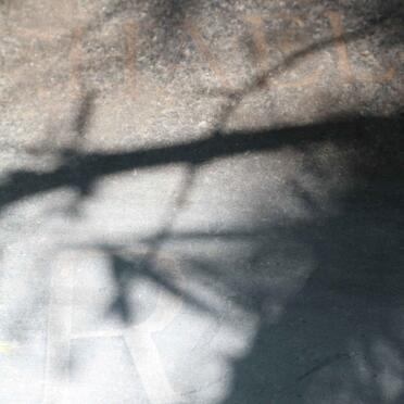 STANDER William Matthys 1930-1956