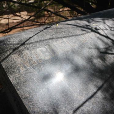 WALT Michiel Jacobus, van der 1894-1976