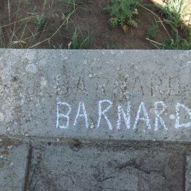 BARNARD J. 