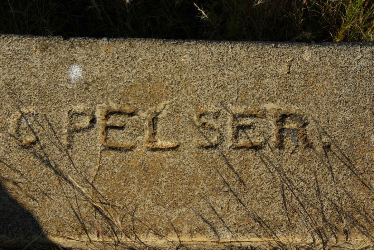 PELSER C.