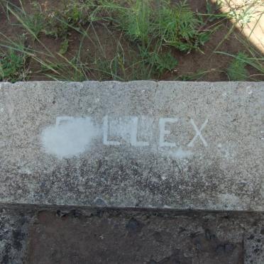 ?LLEX
