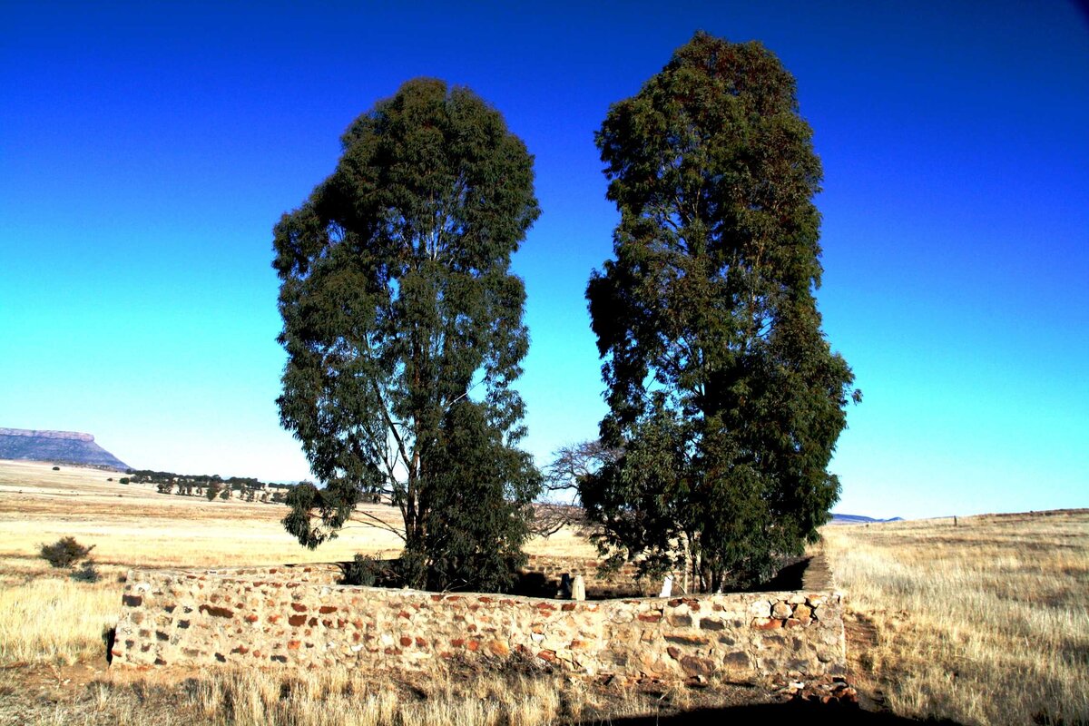 1. Overview / Oorsig