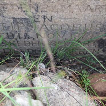 ? Barend Stephanes 1878-19? :: Philip Jacobus 1879-?