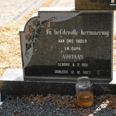 BADENHORST Adriaan 1901-1987