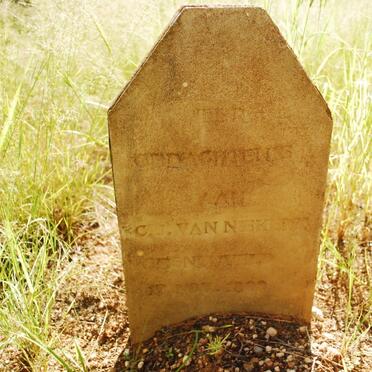 NIEKERK C.J., van -1890