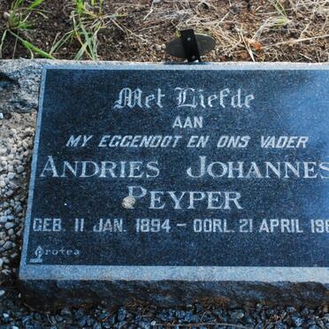 PEYPER Andries Johannes 1894-1965