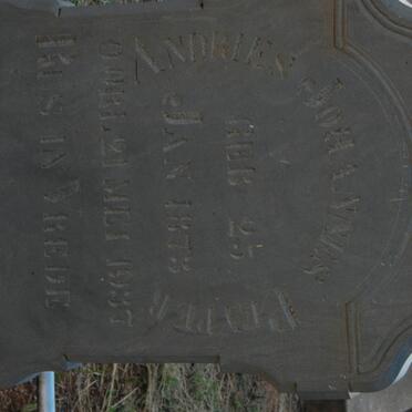 PEYPER Andries Johannes 1873-1937