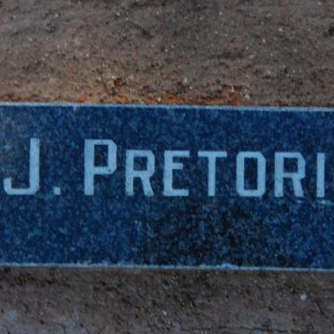PRETORIUS J.