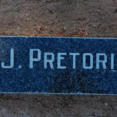 PRETORIUS J.