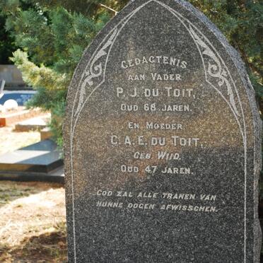 TOIT P.J., du &amp; C.A.E. WIID