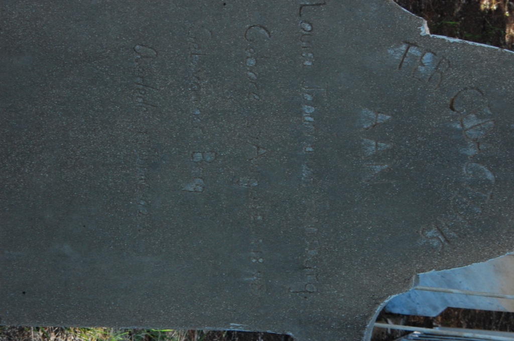 ? Louisa Johanna nee VAN DER BERG 18?8-19??