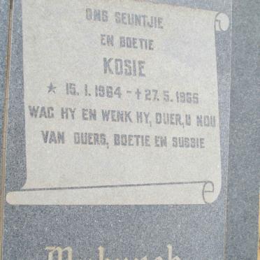 MYBURGH Kosie 1964-1965