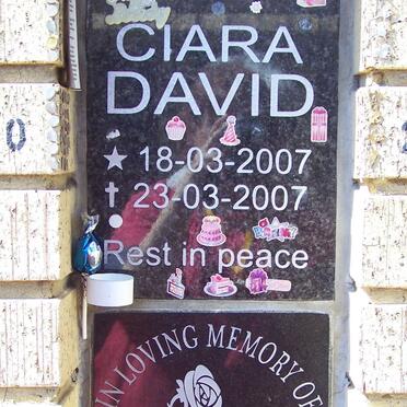 DAVID Cara 2007-2007 :: PARKER Vivienne A. 1935-2007