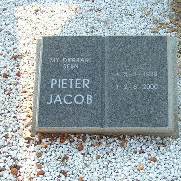 BRUYN Pieter Jacob, de 1938-2000