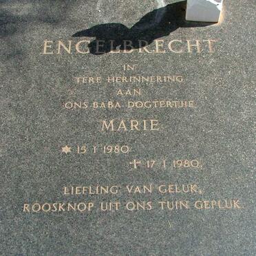 ENGELBRECHT  Marie 1980-1980