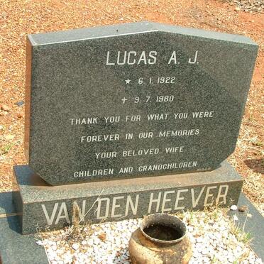 HEEVER Lucas A.J., van den 1922-1980
